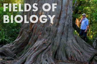 Fields of biology