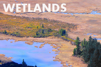 Wetlands Wetlands